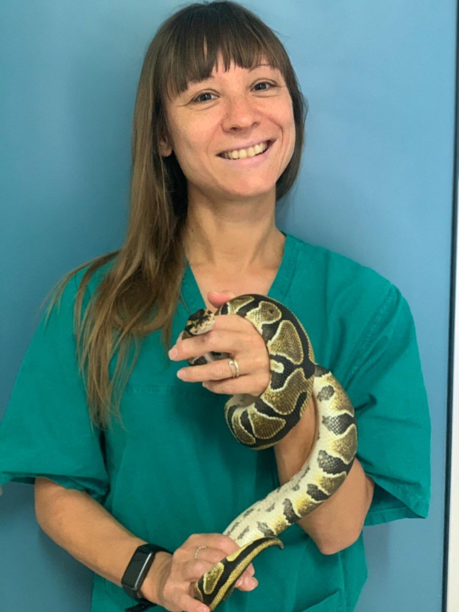 Dott.ssa RICEPUTI MARTA - Medico Veterinario